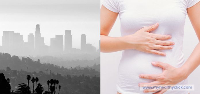 Health Research Finds Link Between-Air pollutio and Miscarriage