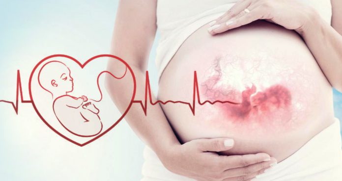 Foul Air Can Impact on Fetal Heart