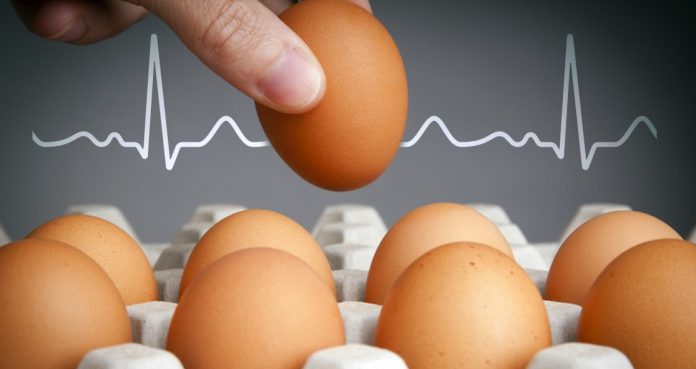 three Eggs a Week Increase Risk of Heart Disease