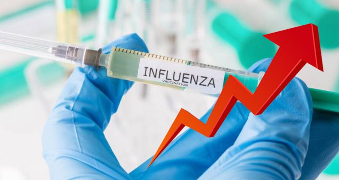 Global Influenza Vaccine Market