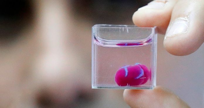 Scientists Created 3D Printed Heart