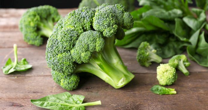 Natural-Molecule-in-Broccoli-Inactivates-a-Gene-That-Causes-Cancer