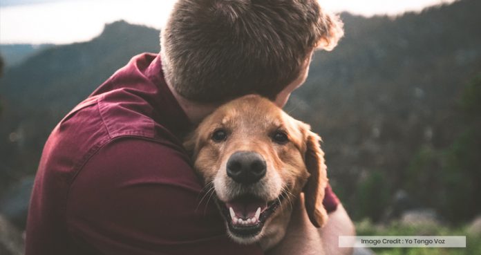 Pets Improve Mental Health