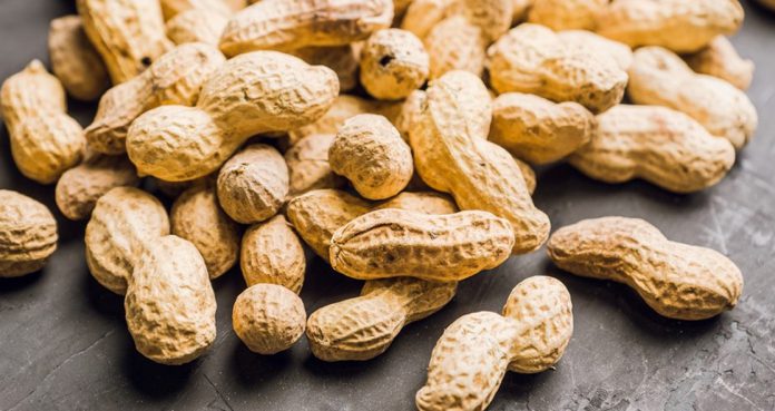 FDA-Recommends-Approval-of-Palforzia-for-Children-with-Peanut-Allergy