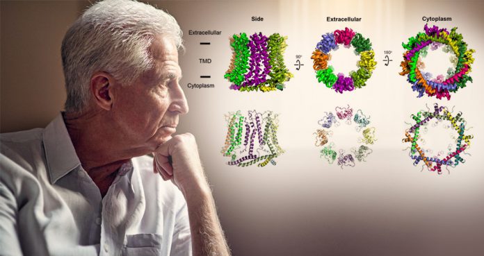 Large-Odd-Holes-in-Cells-Could-Help-Determine-Taste,-Asthma,-Depression-and-Alzheimer’s